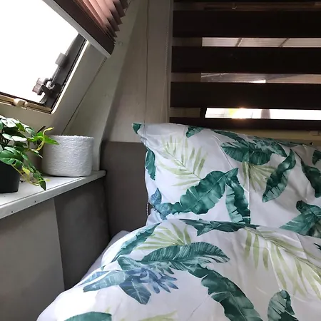 Przyczepa Kempingowa Surfwioska